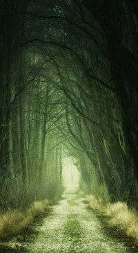 Mystery (3)