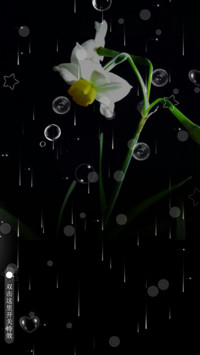水仙花