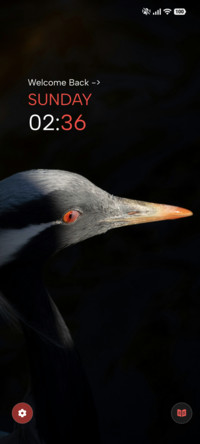 Red Eye Crane