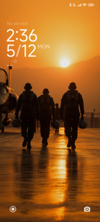 Final Sortie