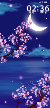 浪漫樱花雨