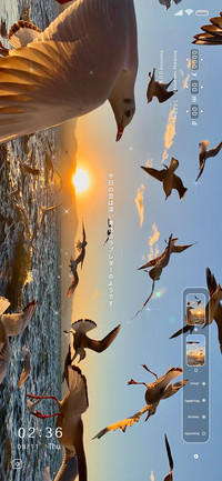 Sunset love letter