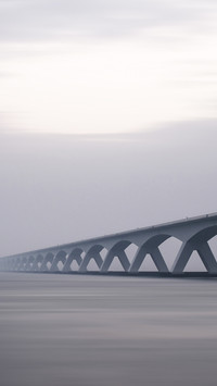 Bridge (7)