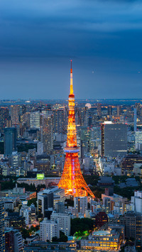 How busy is Tokyo