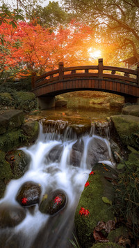 Autumn is startled by the falling leaves in the morning and