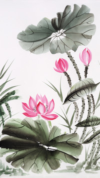 植物插画-拍信图库