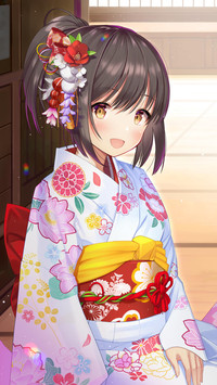 节日盛装