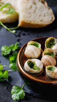 美食总要带点绿