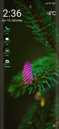 Pine fi