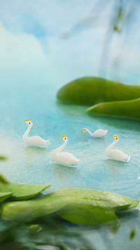 小暑至 盛夏始