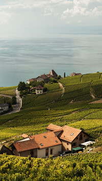 Meet Switzerland 5