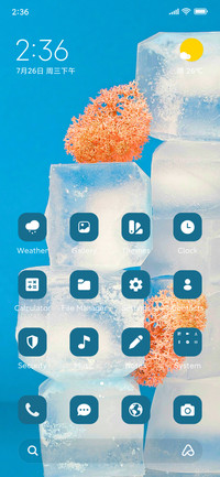 Ice Cubes