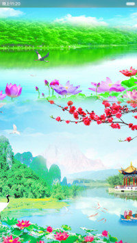 荷塘花瓣