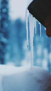 PAIXIN_scenery (1)