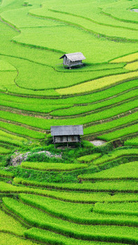 风光美景-拍信图库