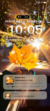 氛围 秋意邂逅阳光