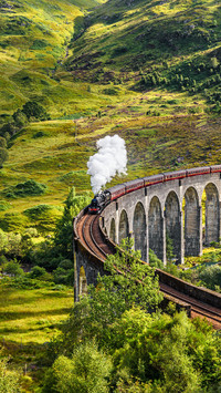 The Train Passed The Viaduct on The Grassland