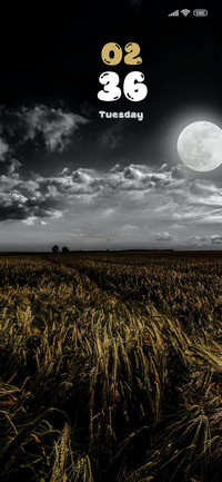 Moon Look