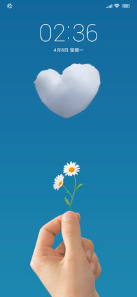 小雏菊