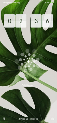 Leaves_3MDS