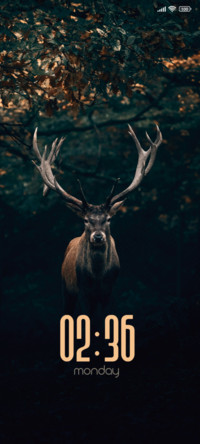 Deer in Dark