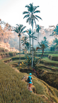 Indonesia (5)