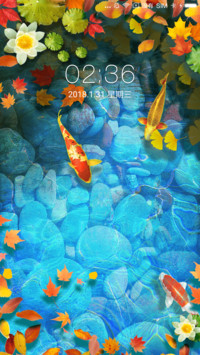 麦拉风 转运锦鲤