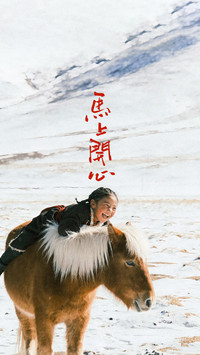 马与人的共生羁绊