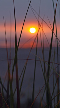 Sunrise and sunset