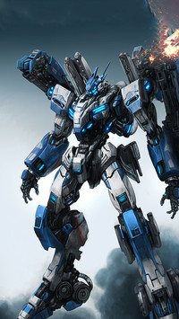 Fight Transformers-Desity