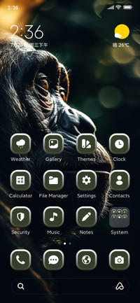 Ape in Dark