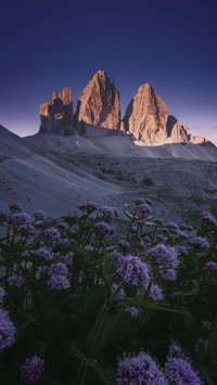 The Palace of Nature 0