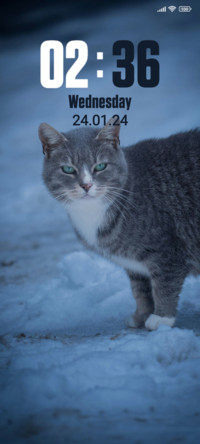Snow Cat