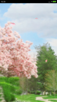 春暖花开