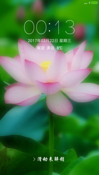护眼荷花