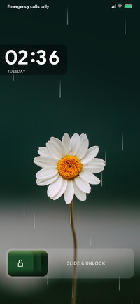 Peace_3MDP