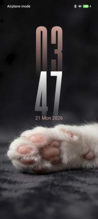 Sleepy Paws