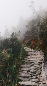 Hill Top (17)