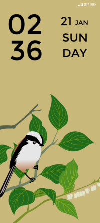 Bird Avian