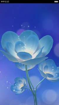 清韵莲花