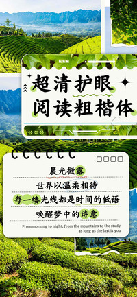超清护眼阅读粗楷体