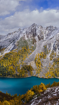 The golden autumn lake water of dangling