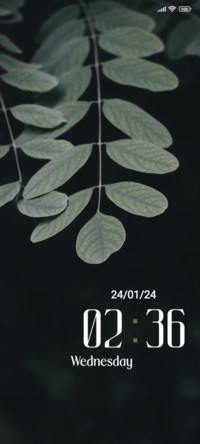Grey Leaf