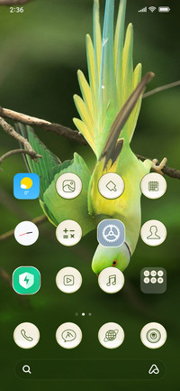 Parrots_3MDS