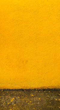 Yellow (15)