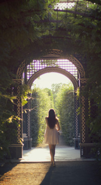 Fantasy World  (45)