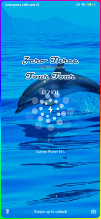 Dolphin Fly