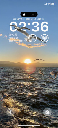 ins海鸥