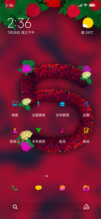 Mi Turns 5 (15)