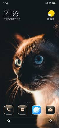 Angry Cat